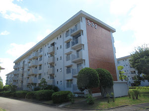 豊ヶ丘団地5-3-2号棟